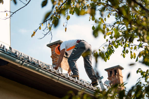 Best Flat Roof Repair Services  in Tobaccoville, NC