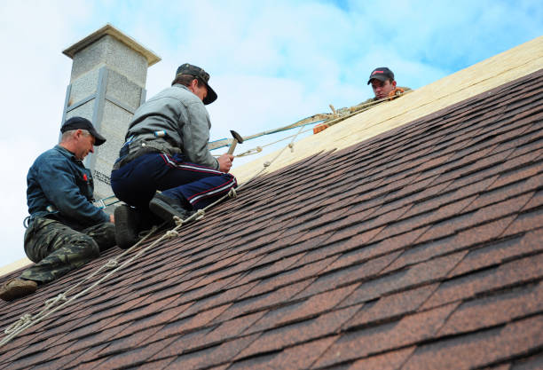 Best New Roof Installation  in Tobaccoville, NC